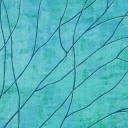 Delikatność przemiany Delikatność przemiany