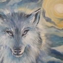 Wilk lodowej pustyni Wilk lodowej pustyni