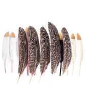 Decorative feathers