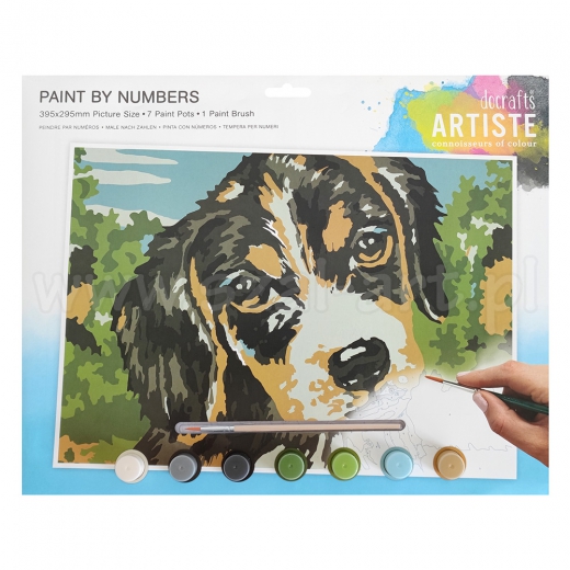 Artiste a large painting set by numbers - dog