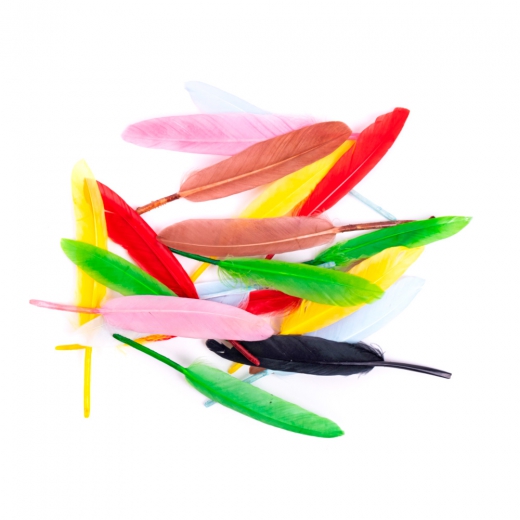 Colorful goose feathers 13cm 20 pieces