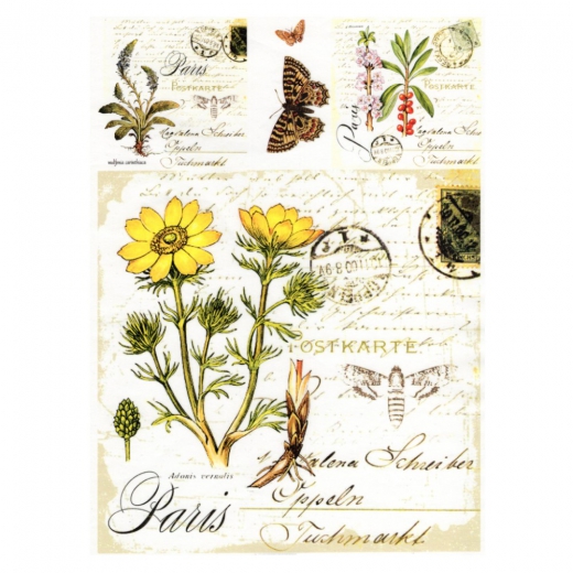 Decoupage paper soft A4 ITD S010 butterflies herbs