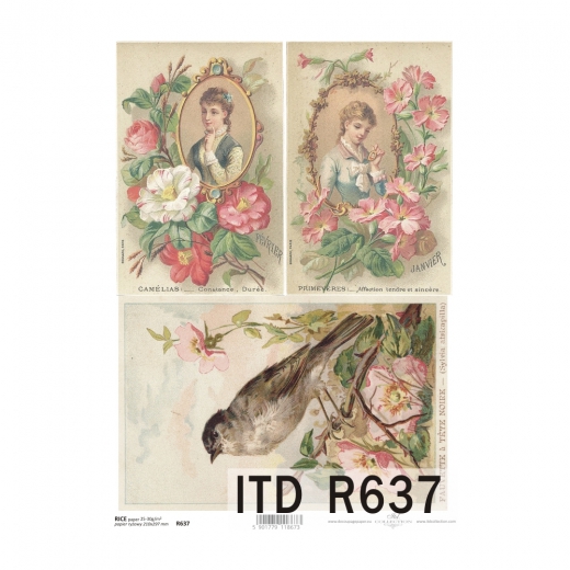 Papier ryżowy do decoupage vintage kobieta portret A4 ITD R637