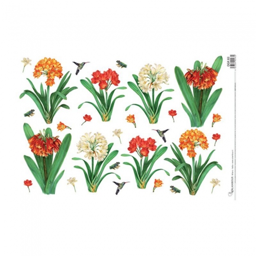 Calambour digital rice paper for decoupage flowers DGR 83 32x45cm
