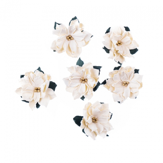 DP Craft poinsettia paper flower ecru 5cm 6pcs