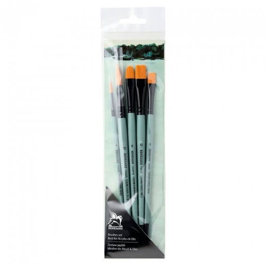 Renesans set of 5 different synthetic brushes 1006F, FR, R