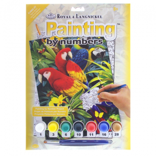 Royal&Langnickel numerowanka A4 7 kolorów - papugi