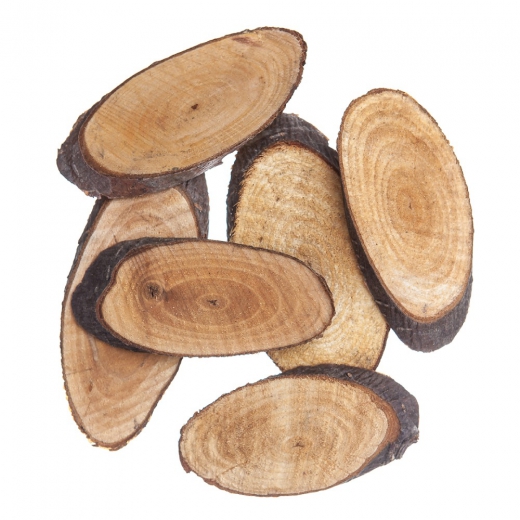 DP Craft wood slices 6pcs
