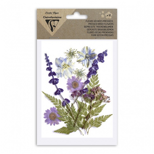 Clairefontaine dried flowers lavender
