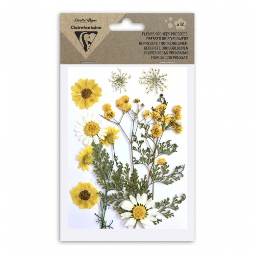 Clairefontaine dried flowers yellow set 12pcs