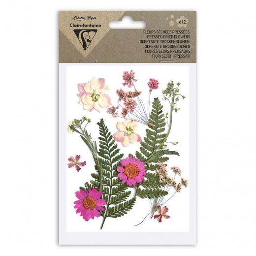 Clairefontaine dried flowers pink set 12pcs