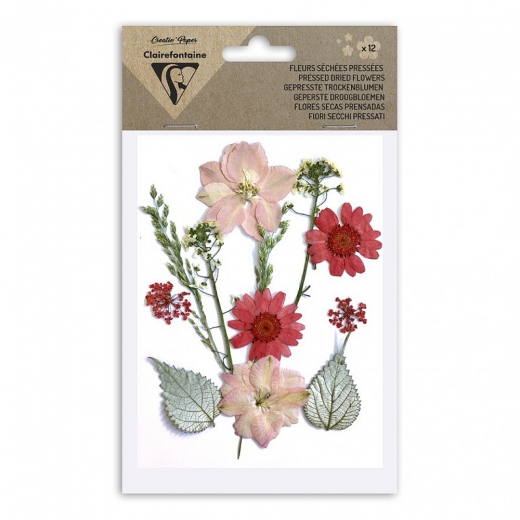 Clairefontaine dried flowers red set 12pcs