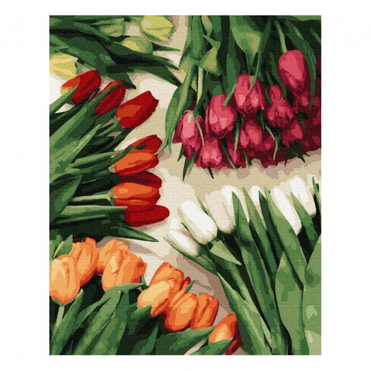 Brushme numerowanka 40x50cm kolorowe tulipany