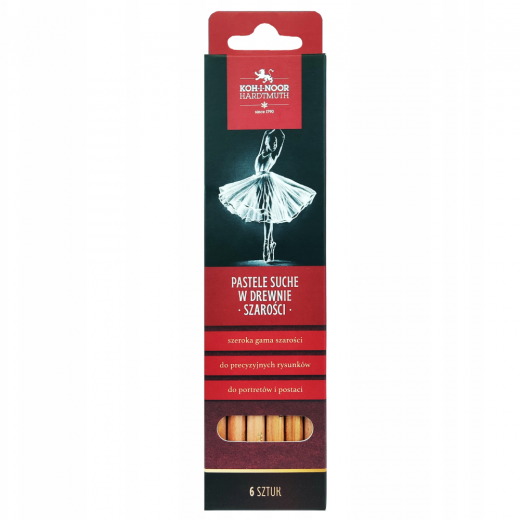 Koh-i-noor set of 6 dry pastels in a crayon in shades of gray