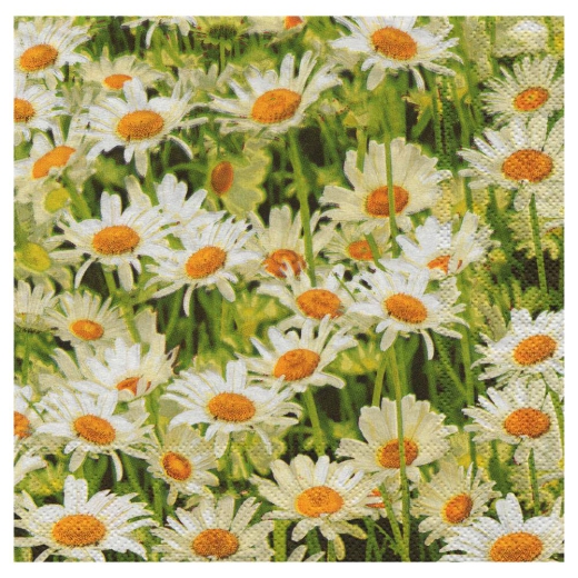 Decoupage napkin Poppies 14-SLOG011301 field of daisies