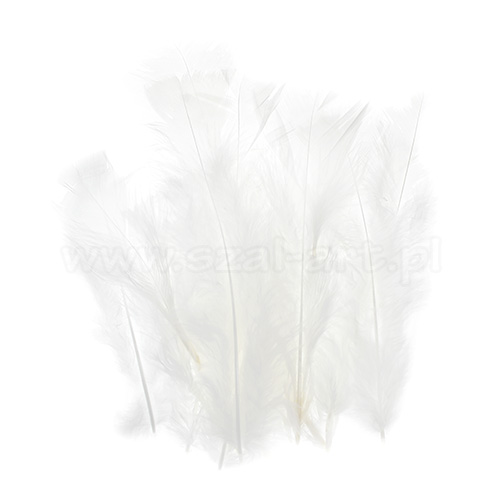 Decorative feather 12cm white