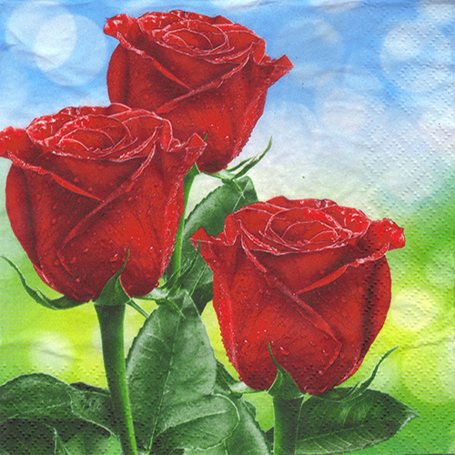 Daisy 5-027701 decoupage napkin three red roses