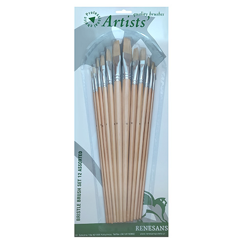 Renesans set of 12 flat bristle brushes
