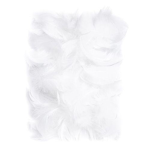 White feathers 5-12cm 10g