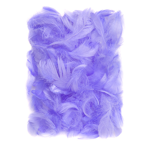 Lilac feathers 5-12cm 10g