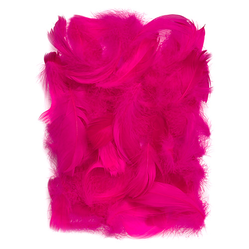Dark pink feathers 5-12cm 10g