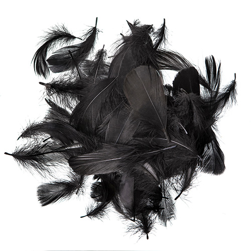Black feathers 5-12cm 10g