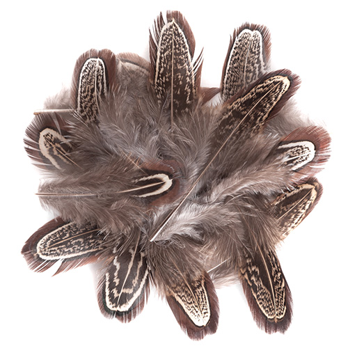 Pheasant feathers 5-12cm 15 pieces