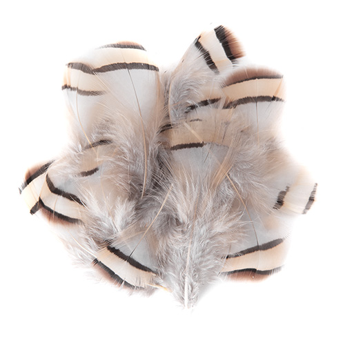 Pheasant feathers 5-7cm 15 pieces