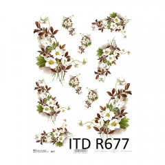 Papier ryżowy do decoupage kwiaty zawilec A4 ITD R677