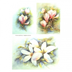 Papier ryżowy do decoupage kwiaty magnolia A4 ITD R277