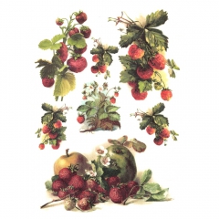 Rice decoupage paper strawberry fruit A4 ITD R394