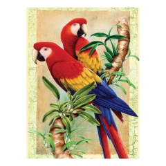 Numerowanka A4 7 kolorów- papugi w bambusie