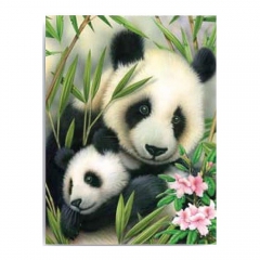 Royal&Langnickel numerowanka A4 7 kolorów - panda z dzieckiem