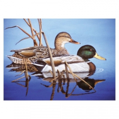 Royal&Langnickel Paiting by numbers - A3 10 colors - ducks