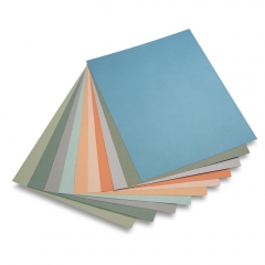 Canson mi-teintes paper 50x65cm 160g 10 sheets