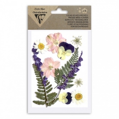 Clairefontaine suszone kwiaty kolorowe opakowanie 12szt