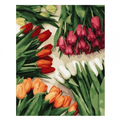 Brushme painting by numbers  40x50cm colorful tulips
