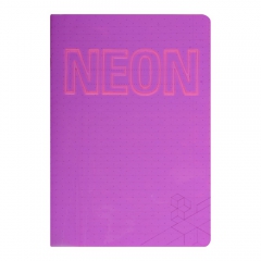 Koh-i-noor neon exercise book checkered with a margin of 80g 42 pages