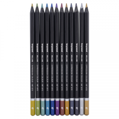 Bruynzeel Expression set of 12 metallic crayons