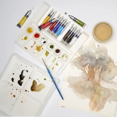 Winsor & Newton cotman palette set watercolor paints 10 pieces
