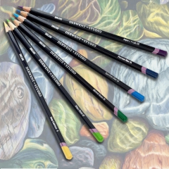 Derwent studio set of crayons 24 colors