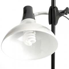 Daylight studyjna lampa z klipsem i statywem aluminiowo-czarna