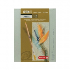 Bruynzeel pastel pastels set in a crayon 12 pieces