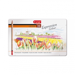 Bruynzeel expression color set of 36 colored pencils