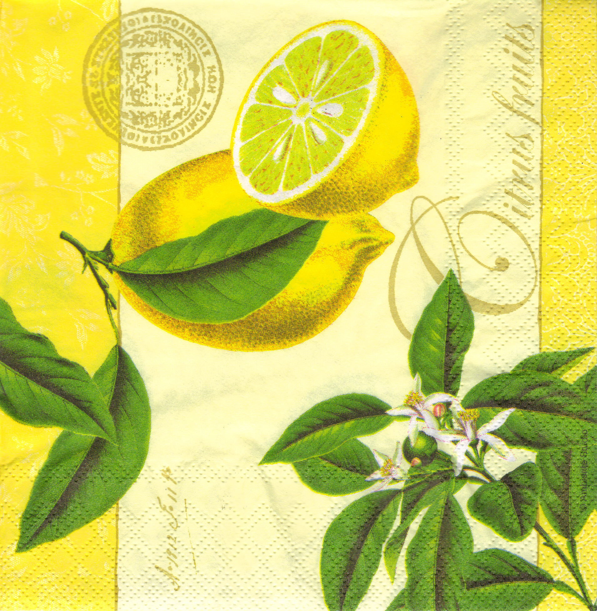 Decoupage Napkin  Ambiente 26-13305096 citrus fruits yellow