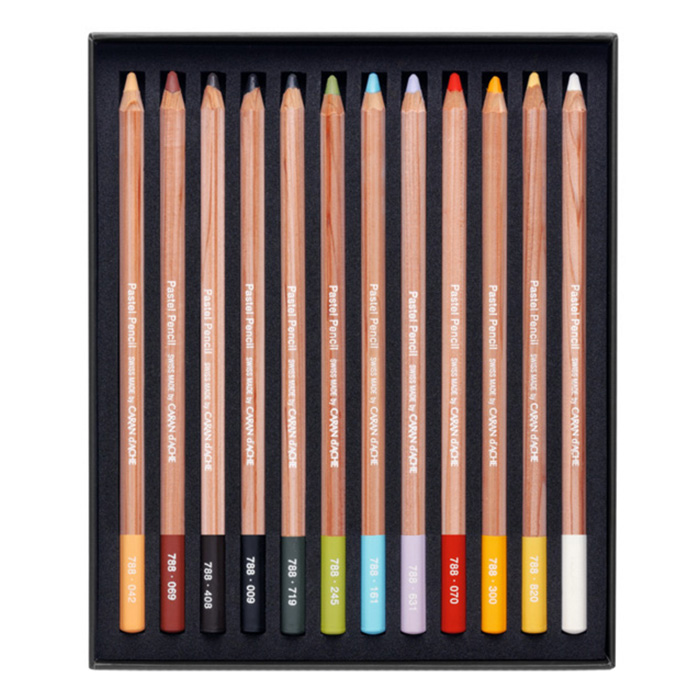 Caran dche dry pastels in crayon 12 colors