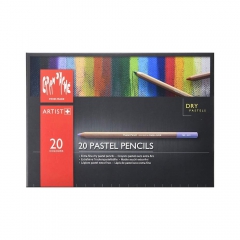 Caran dache dry pastels in crayon 20 colors