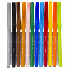 Bruynzeel set of 12 felt-tip pens in a case