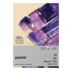 Block Winsor & Newton pastel earth for pastels 160g 24 sheets